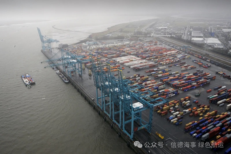 1768981265535360.jpg 2222222222222222222222;;.jpg