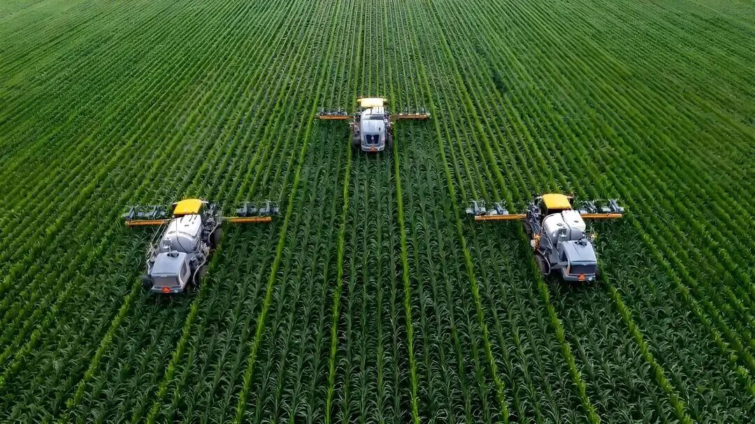 1770603716201214.jpg 11111111111111111.jpg