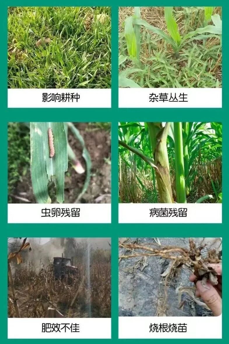 1770604054637872.jpg 8888888888888888.jpg