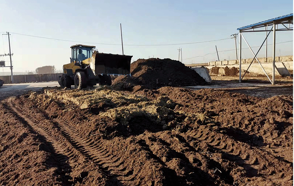 1770604081666705.png 9999999999999999999.png