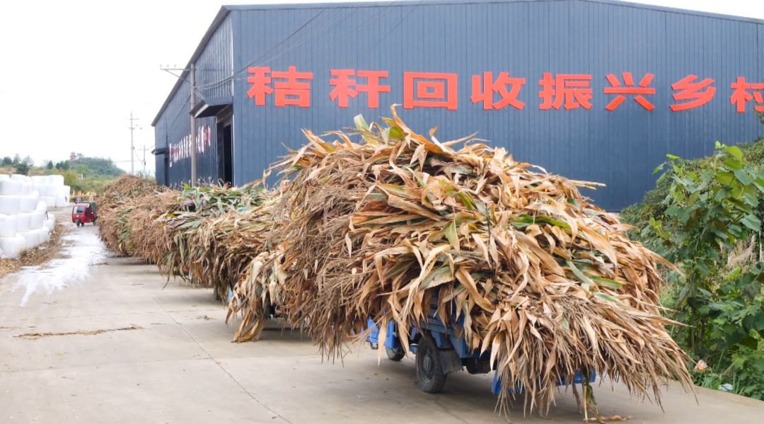 1770604172636664.png AAAAAAAAAAAA.png