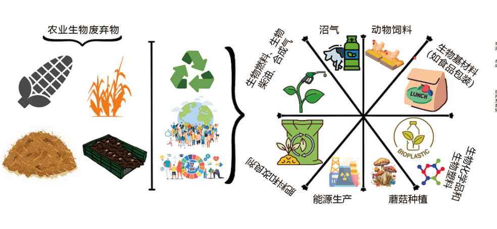 1770604222210549.png BBBBBBBBBBBBBBBB.png