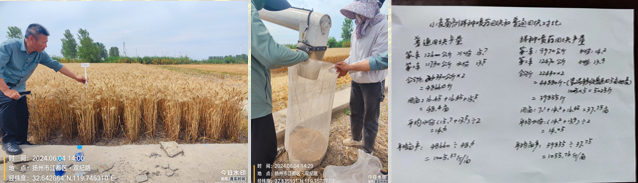 1770604299658119.png DDDDDDDDDDDDDDD.png