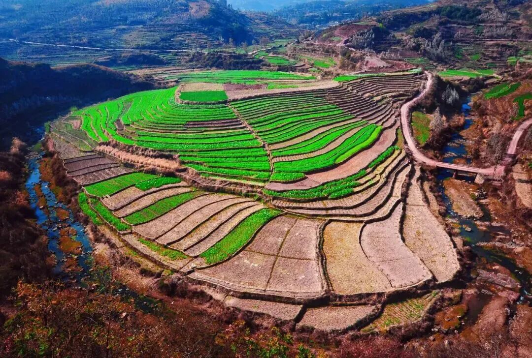 1770604677894880.jpg 反反复复反反复复.jpg