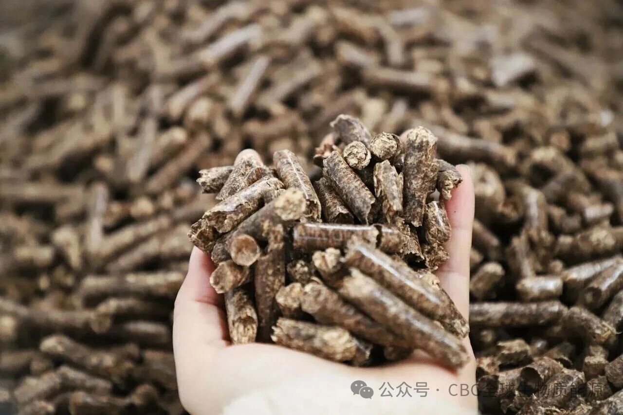 1770713093631367.jpg 4444444444444444444.jpg