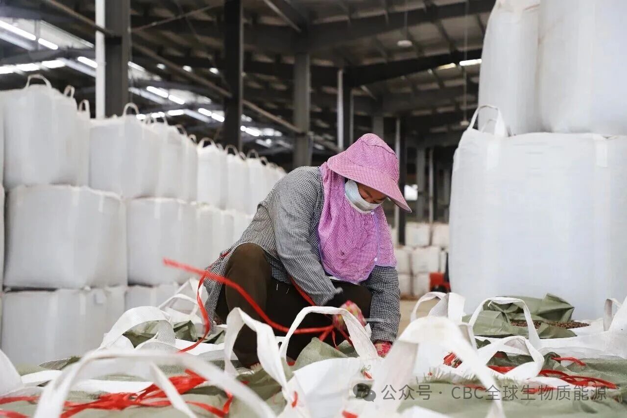 1770713114997677.jpg 666666666666666666.jpg